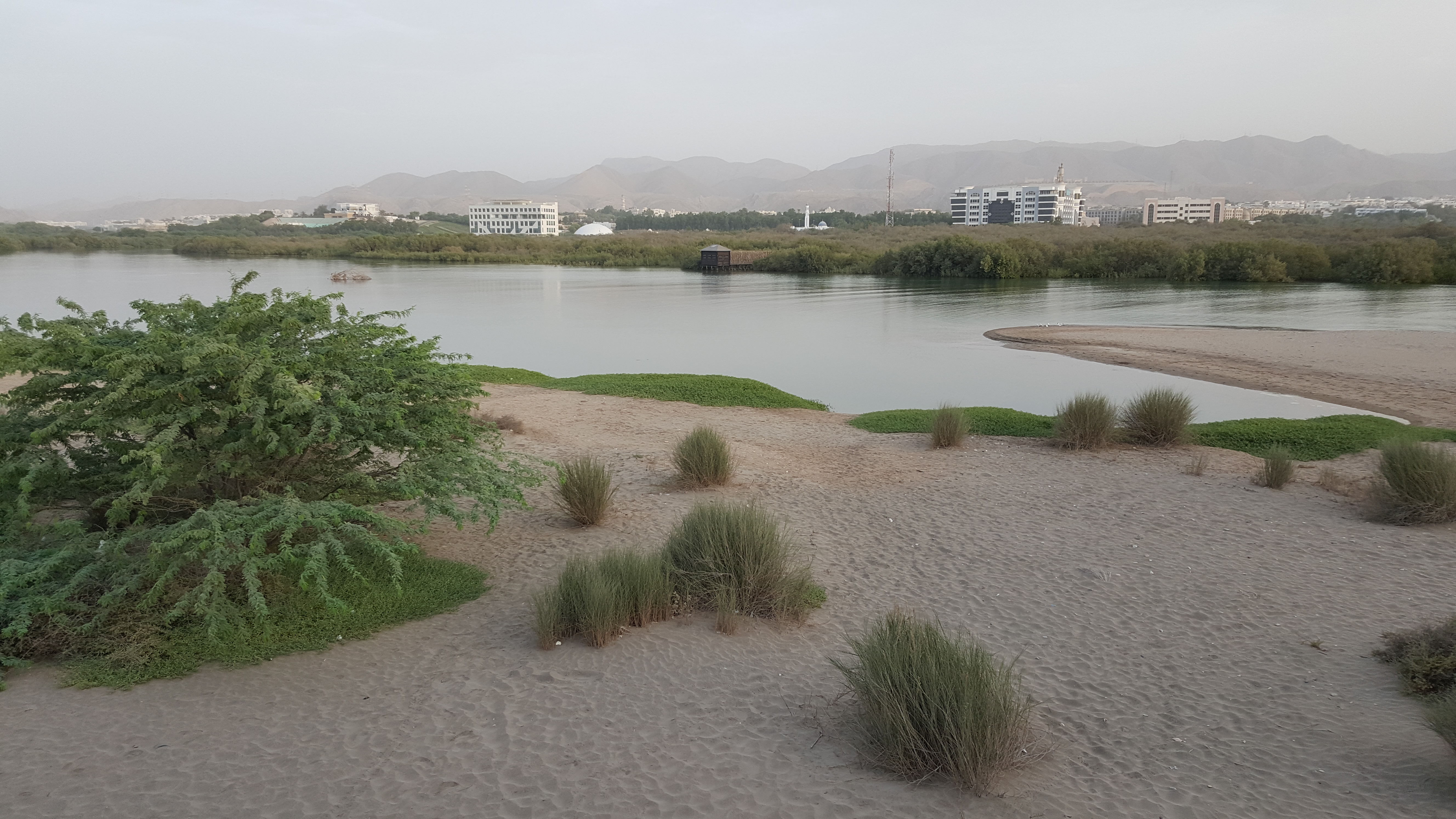 Qurm Nature Reserve